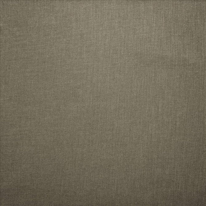 Subtle Chic Steel  by Kasmir Designer Fabric 5040 100% Polyester
 INDIA 50,000 Wyzenbeek Double Rubs Horizontal: N/A and Vertical: N/A 54  - Swanky Fabrics -