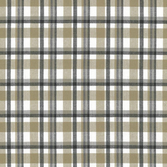 Tamron Plaid Sandstone by Kasmir Designer Fabric 5067 100% Cotton
 INDIA 30,000 Wyzenbeek Double Rubs </p><p>Repeat: Horizontal: 2 inches and Vertical: 2 inches 54 - Swanky Fabrics -