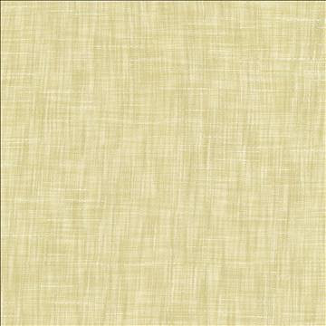 Tao Texture Champagne by Kasmir Designer Fabric