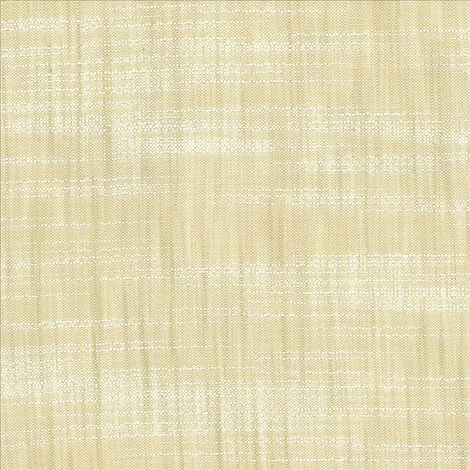 Tao Texture Oyster by Kasmir Designer Fabric 5061 100% Polyester INDIA Not Tested Horizontal: 0 Inches and Vertical: 0 Inches 54 - Swanky Fabrics -
