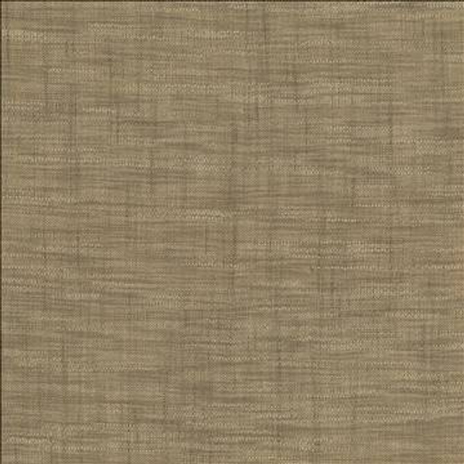 Tao Texture Stone by Kasmir Designer Fabric 5061 100% Polyester INDIA Not Tested H: N/A, V: N/A 54 - Swanky Fabrics - Kasmir