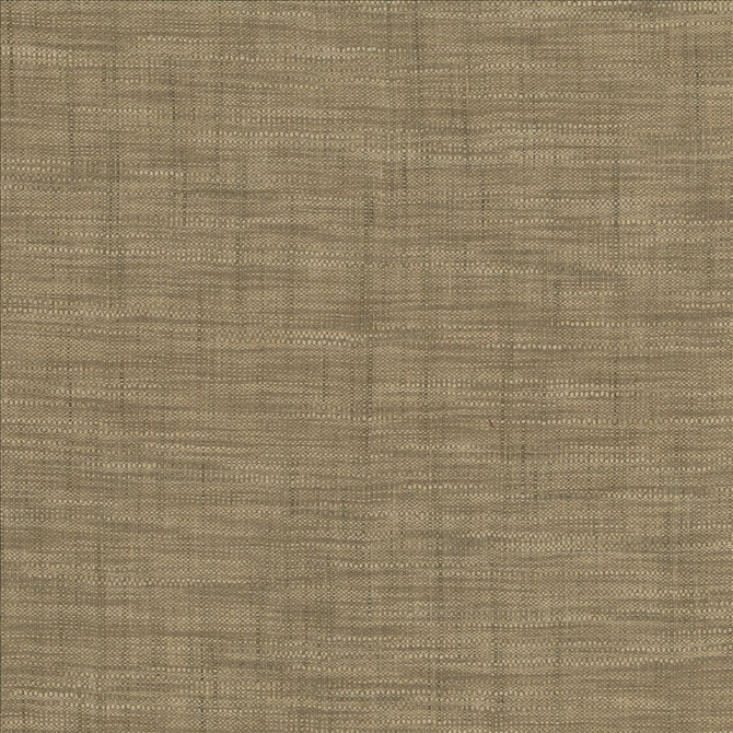 Tao Texture Stone by Kasmir Designer Fabric 5061 100% Polyester INDIA Not Tested Horizontal: 0 Inches and Vertical: 0 Inches 54 - Swanky Fabrics -