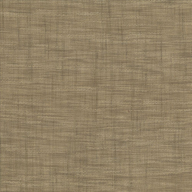 Tao Texture Stone by Kasmir Designer Fabric 5061 100% Polyester
 INDIA </p><p>Repeat: Horizontal: N/A and Vertical: N/A 54 - Swanky Fabrics -