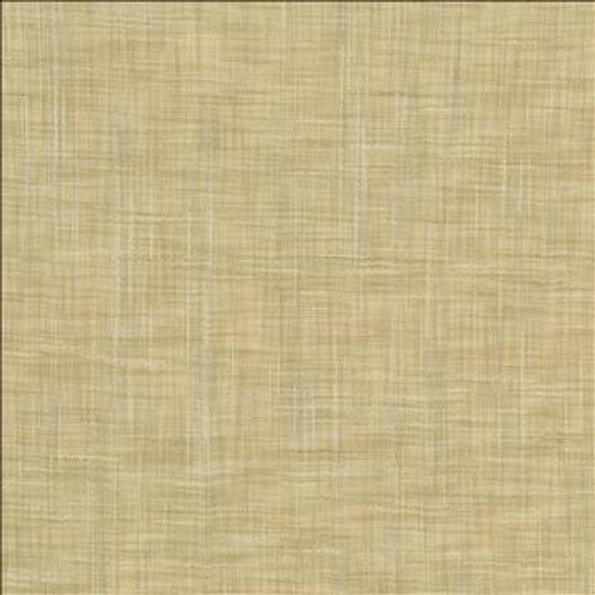 Tao Texture Tea Stain by Kasmir Designer Fabric 5061 100% Polyester INDIA Not Tested H: N/A, V: N/A 54 - Swanky Fabrics - Kasmir