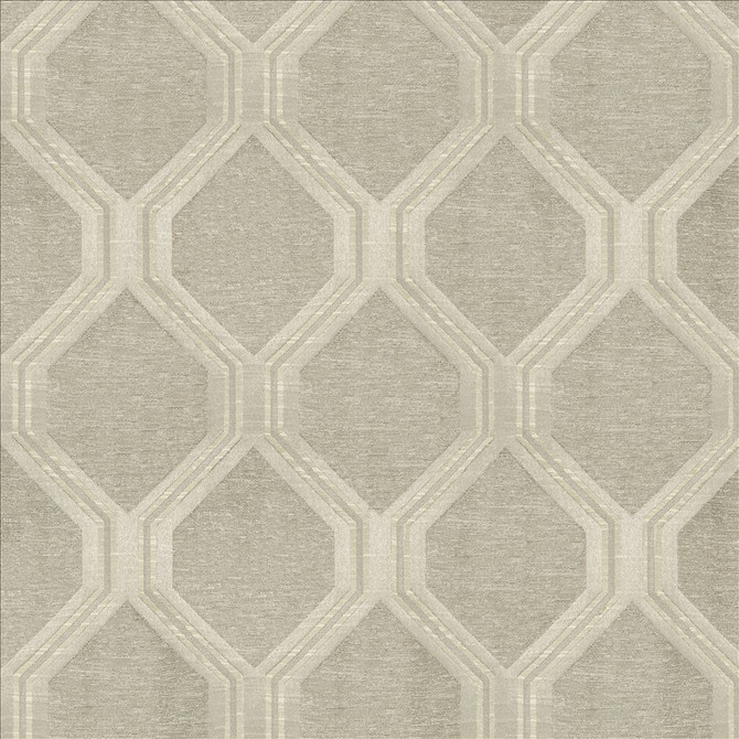 Theorem Silver by Kasmir Designer Fabric 5119 59% Polyester
41% Cotton
 INDIA </p><p>Repeat: Horizontal: 6 inches and Vertical: 7 4/8 inches 54 - Swanky Fabrics -