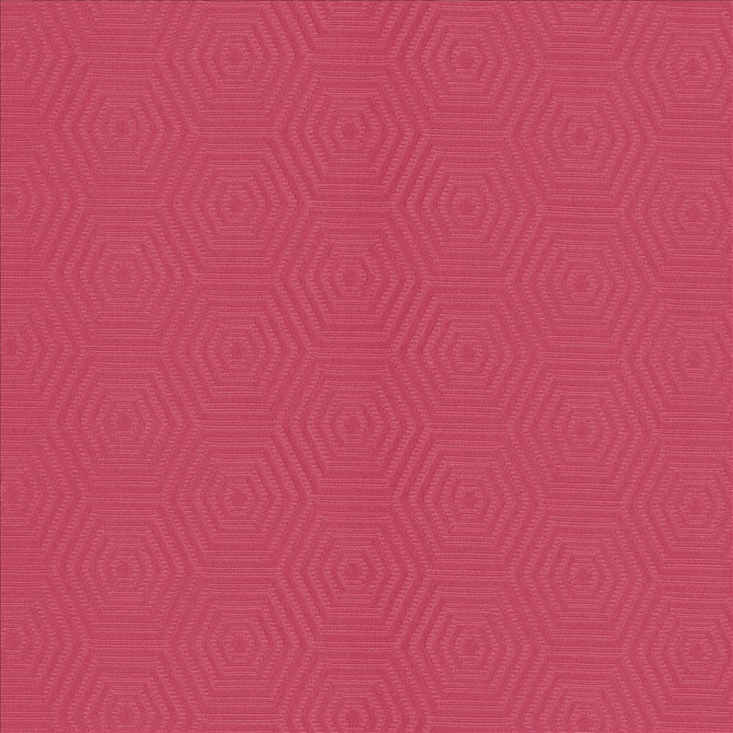 Vault Begonia by Kasmir Designer Fabric 5095 69% Cotton
31% Polyester
 CHINA </p><p>Repeat: Horizontal: 3 inches and Vertical: 1 6/8 inches 57 - Swanky Fabrics -