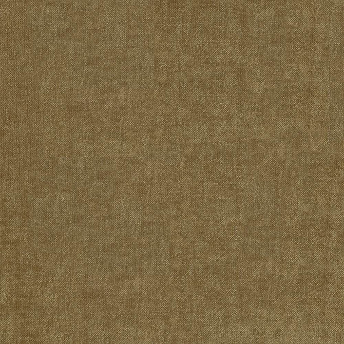 Vestige Beaver by Kasmir Designer Fabric 5051 100% Polyester
 CHINA 30,000 Wyzenbeek Double Rubs </p><p>Repeat: Horizontal: N/A and Vertical: N/A 55 - Swanky Fabrics -