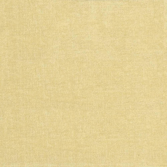 Vestige Parchment  by Kasmir Designer Fabric 5051 100% Polyester
 CHINA 30,000 Wyzenbeek Double Rubs Horizontal: N/A and Vertical: N/A 55  - Swanky Fabrics -