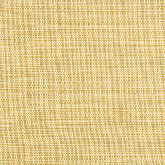 34627.416 by Kravet Smart Designer Fabric Crypton Home Polyester 58%, Cotton 22%, Rayon 20% USA Heavy Horizontal: see sample and Vertical: see sample 55 inches - Swanky Fabrics -