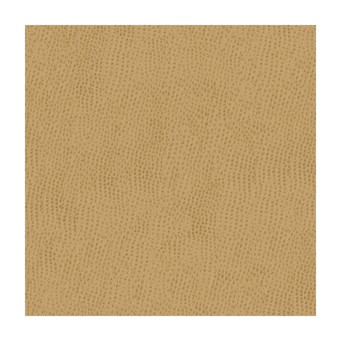 Kravet Contract Belus-1616 by Kravet Contract Fabric Kravet Contract Fabric Kravet Contract Belus-1616Fabric POLY VINYL CHLORIDE - 100% Taiwan </p><p>Repeat: H: , V: 54 - Fabric Carolina -