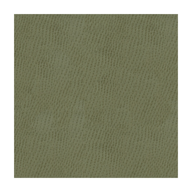 Kravet Contract Belus-11 by Kravet Contract Fabric Kravet Contract Fabric Kravet Contract Belus-11Fabric POLY VINYL CHLORIDE - 100% Taiwan </p><p>Repeat: H: , V: 54 - Fabric Carolina -