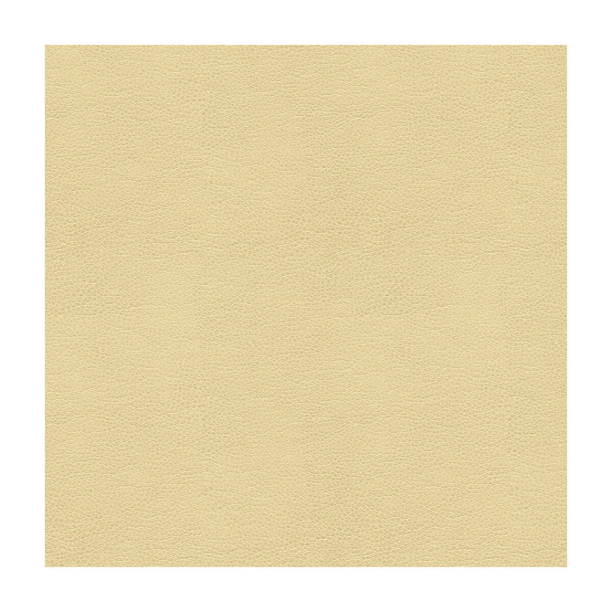 Balara-116 by Kravet Contract Designer Fabric POLYURETHANE - 100% China HEAVY Horizontal: and Vertical: 55 - Swanky Fabrics -