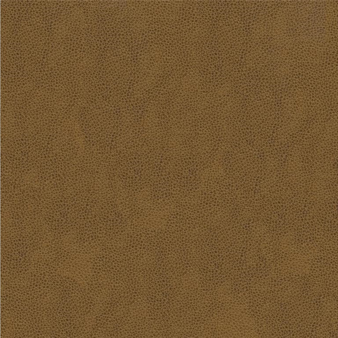 ALINA.616 by Kravet Smart Designer Fabric our website for purchase 100% Leather China Heavy Horizontal: see sample and Vertical: see sample 55 inches - Swanky Fabrics -