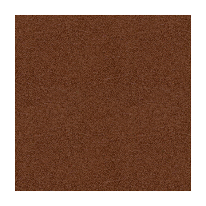 Alina-6 by Kravet Smart Designer Fabric POLYURETHANE - 100% China HEAVY Horizontal: and Vertical: 55 - Swanky Fabrics -