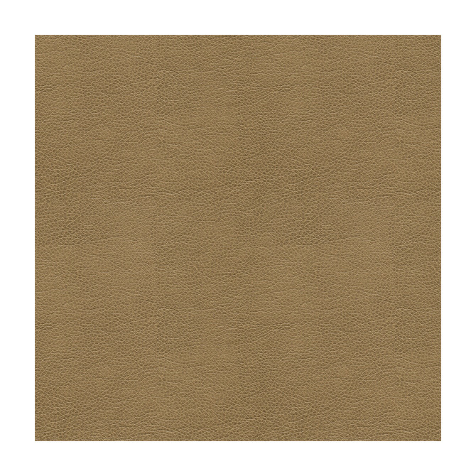 Alina-106 by Kravet Smart Designer Fabric - POLYURETHANE - 100% China HEAVY Horizontal: - and Vertical: - 55 - Swanky Fabrics -