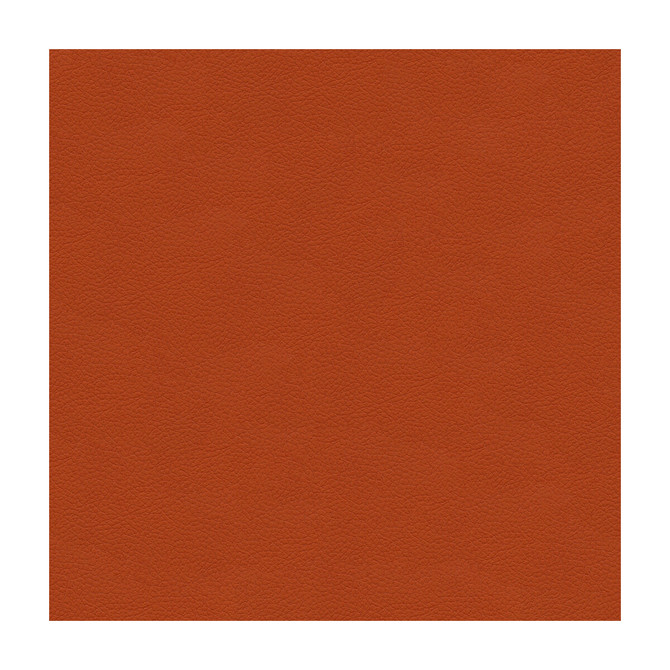 Kravet Design Ali-12 by Kravet Design Fabric Kravet Design Fabric Kravet Design Ali-12Fabric ULTRALEATHER PLUS IV POLYURETHANE - 100% Japan </p><p>Repeat: H: , V: 54 - Fabric Carolina -