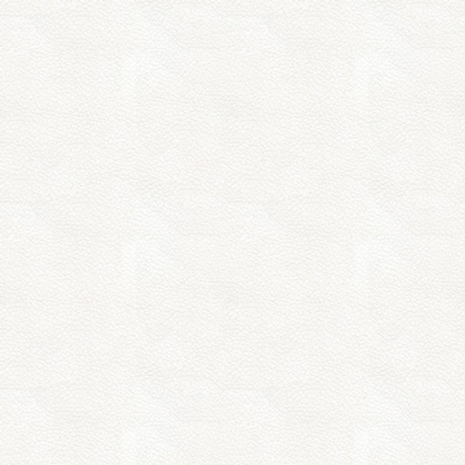 Kravet Design Ali-101 by Kravet Design Designer Fabric