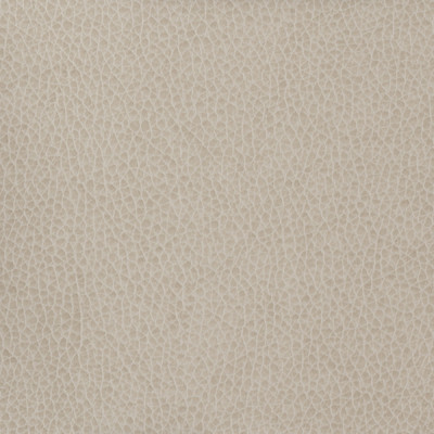 Kravet Basics Matter-11 by Kravet Basics Designer Fabric