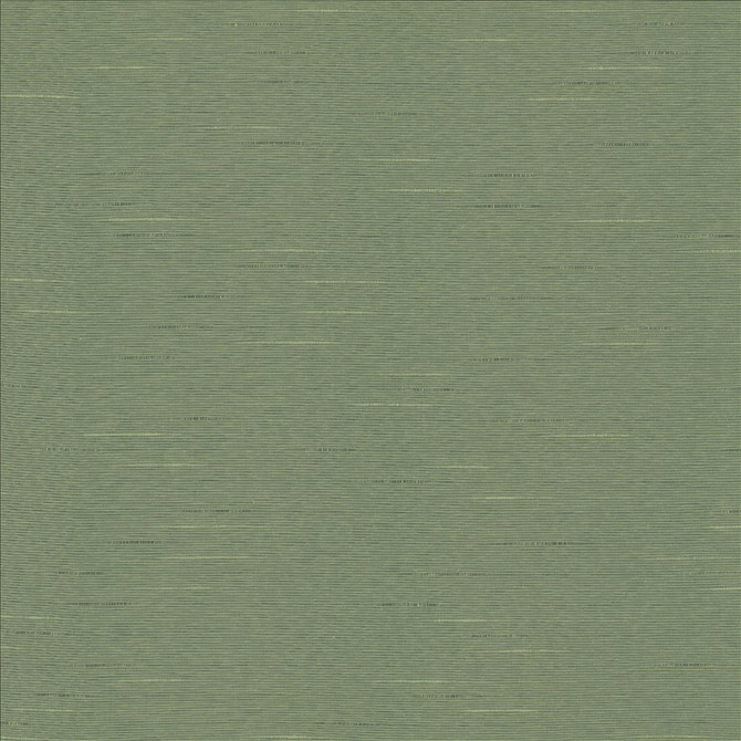 Boxwood Eucalyptus by Kasmir Designer Fabric See sample 55% Cotton
45% Polyester
 TAIWAN 30,000 Wyzenbeek Double Rubs </p><p>Repeat: Horizontal: N/A and Vertical: N/A 54 - Swanky Fabrics -