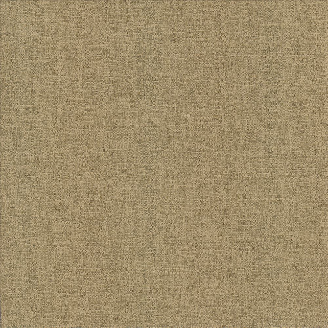 Brandon Mushroom by Kasmir Designer Fabric 5159 100% Polyester
 CHINA </p><p>Repeat: Horizontal: N/A and Vertical: N/A 54 - Swanky Fabrics -