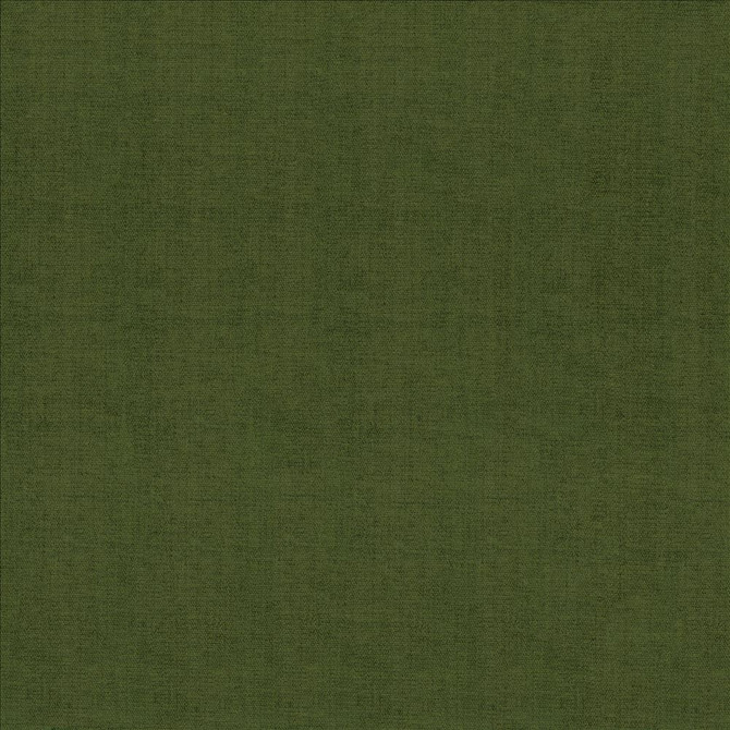 Quarry Boxwood by Kasmir Designer Fabric See sample 100% Polyester
 INDIA 100,000 Wyzenbeek Double Rubs </p><p>Repeat: Horizontal: N/A and Vertical: N/A 54 - Swanky Fabrics -