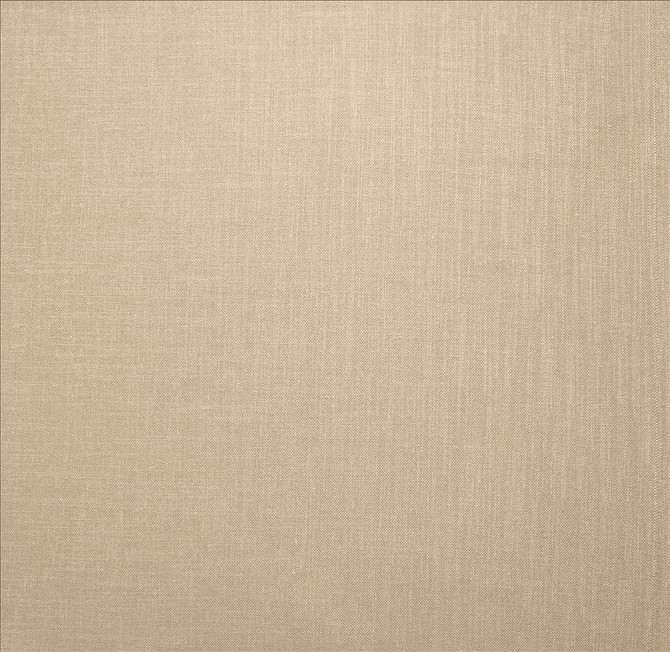 Subtle Chic Froth by Kasmir Designer Fabric 5160 100% Polyester
 INDIA </p><p>Repeat: Horizontal: N/A and Vertical: N/A 54 - 57 - Swanky Fabrics -
