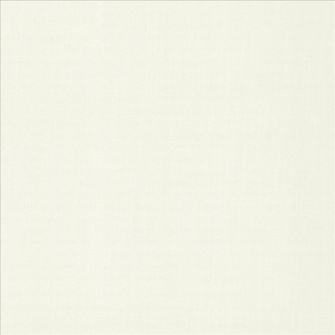 Tundra Chalk by Kasmir Designer Fabric 5161 100% Polyester CHINA 51,000 Wyzenbeek Double Rubs Horizontal: 0 Inches and Vertical: 0 Inches 55 - Swanky Fabrics -