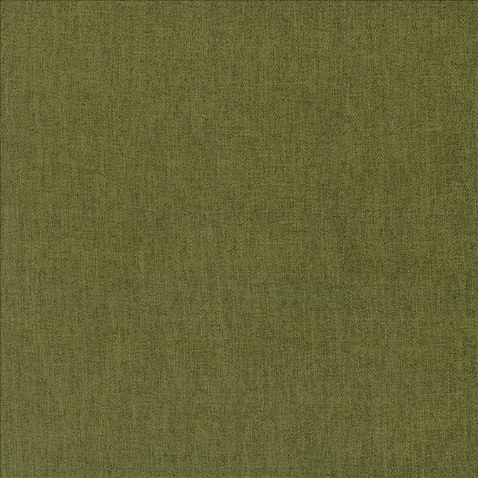 Tundra Dill by Kasmir Designer Fabric 5161 100% Polyester
 CHINA </p><p>Repeat: Horizontal: N/A and Vertical: N/A 55 - Swanky Fabrics -