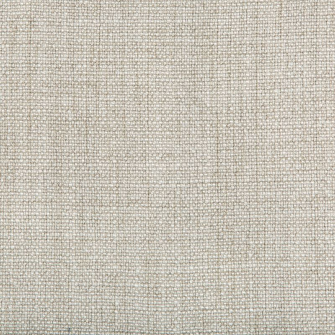 35189.1106 by Kravet Basics Designer Fabric our website for purchase Rayon 75%, Linen 15%, Cotton 10% China Heavy Horizontal: see sample and Vertical: see sample 54 inches - Swanky Fabrics -