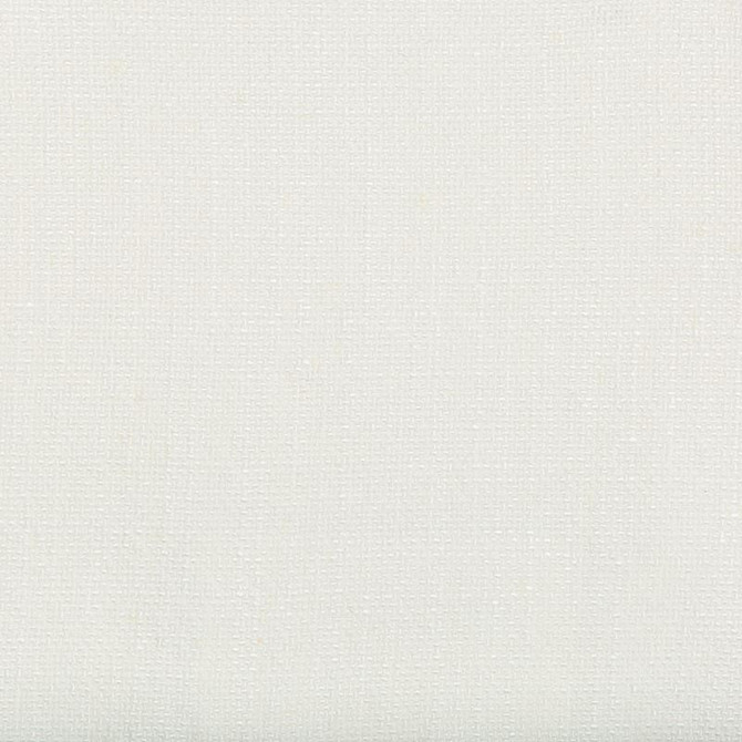 35189.1 by Kravet Basics Designer Fabric our website for purchase Rayon 75%, Linen 15%, Cotton 10% China Heavy Horizontal: see sample and Vertical: see sample 54 inches - Swanky Fabrics -