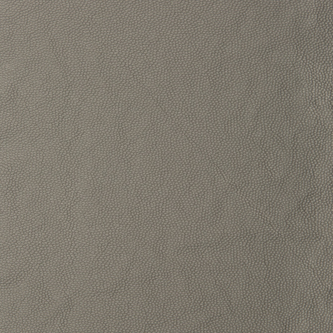 Aldwin-1121 by Kravet Smart Designer Fabric PVC - ARTIFICIAL LEATHER - 65%;POLYESTER - 35% United States HEAVY Horizontal: and Vertical: 54 - Swanky Fabrics -