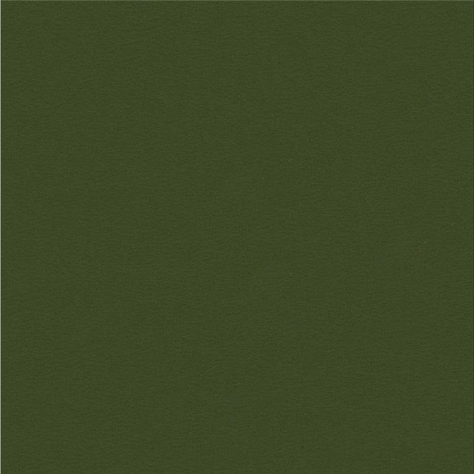 NEWT.303 by Kravet Smart Designer Fabric our website for purchase 100% Leather Taiwan Heavy Horizontal: see sample and Vertical: see sample 54 inches - Swanky Fabrics -