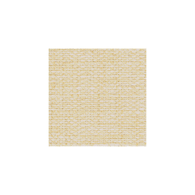 30667-1 by Kravet Smart Designer Fabric POLYESTER - 66%;ACRYLIC - 34% United States HEAVY Horizontal: and Vertical: 54 - Swanky Fabrics -