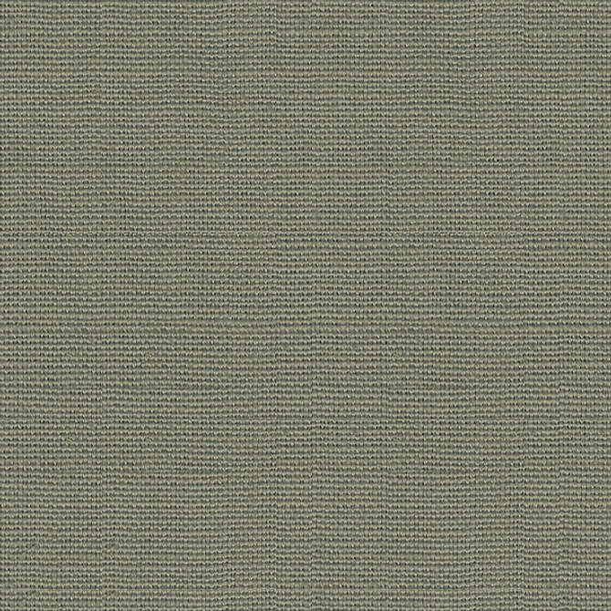 32787.2121 by Kravet Design Designer Fabric Exotic Travels Linen 100% Brazil Light Horizontal: see sample and Vertical: see sample 54 inches - Swanky Fabrics -