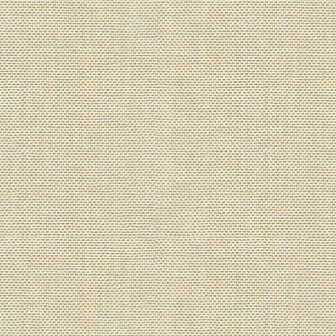 30299.1116 by Kravet Basics Designer Fabric Perfect Plains Polyester 63%, Viscose 35%, Polyamide 2% China Heavy Horizontal: see sample and Vertical: see sample 55 inches - Swanky Fabrics -