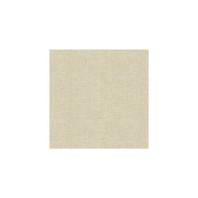 30299-1116 by Kravet Basics Designer Fabric PERFECT PLAINS POLYESTER - 63%;VISCOSE - 35%;POLYAMIDE - 2% China HEAVY Horizontal: 0 and Vertical: 0 55 - Swanky Fabrics -