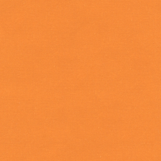 VERSAILLES.E29205 by Kravet Design Designer Fabric our website for purchase Cotton 100% Netherlands Heavy Horizontal: see sample and Vertical: see sample 54 inches - Swanky Fabrics -