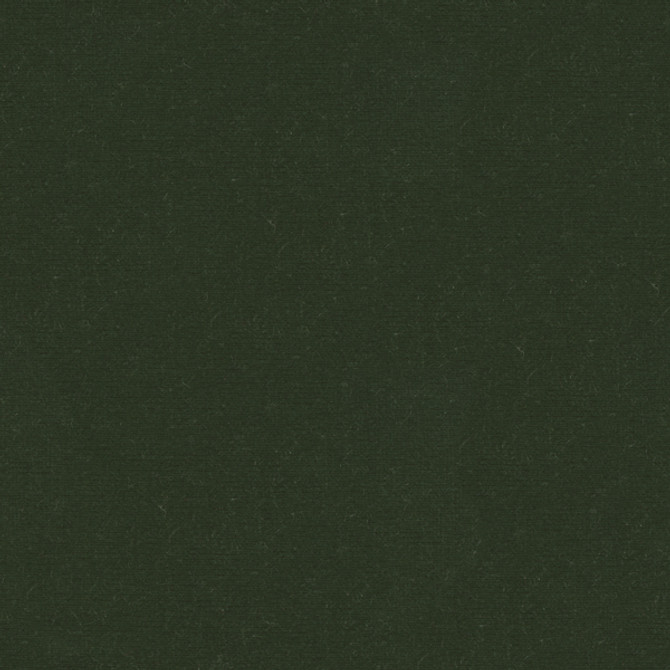 VERSAILLES.E26914 by Kravet Design Designer Fabric our website for purchase Cotton 100% Netherlands Heavy Horizontal: see sample and Vertical: see sample 54 inches - Swanky Fabrics -