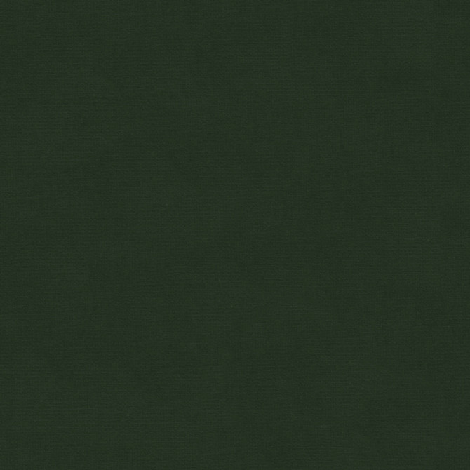 VERSAILLES.E26381 by Kravet Design Designer Fabric our website for purchase Cotton 100% Netherlands Heavy Horizontal: see sample and Vertical: see sample 54 inches - Swanky Fabrics -