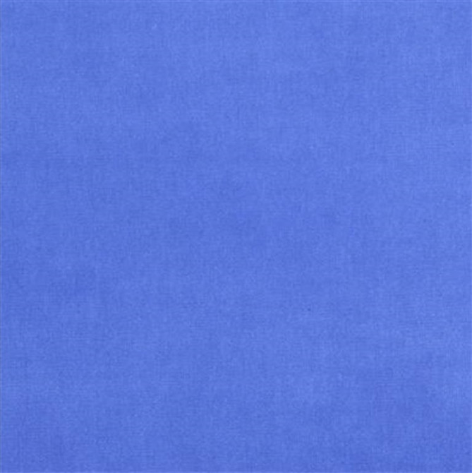 VERSAILLES.E25475 by Kravet Design Designer Fabric our website for purchase Cotton 100% Netherlands Heavy Horizontal: see sample and Vertical: see sample 54 inches - Swanky Fabrics -