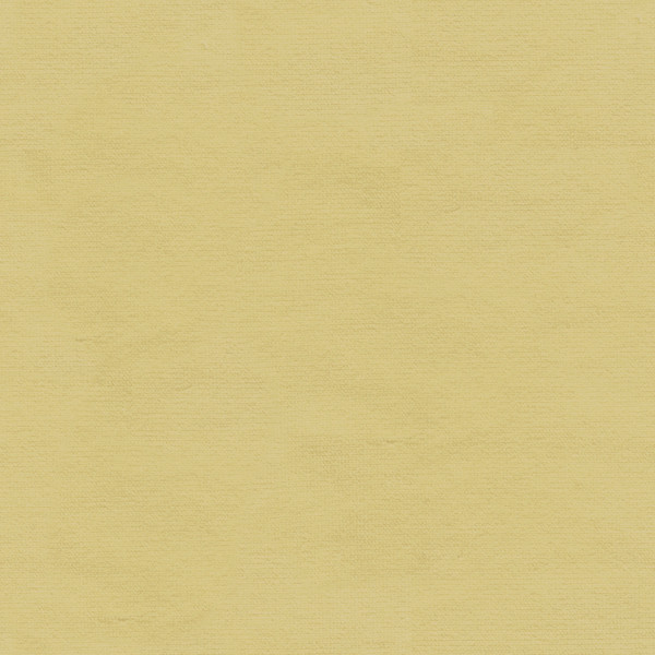 VERSAILLES.E24302 by Kravet Design Designer Fabric our website for purchase Cotton 100% Netherlands Heavy Horizontal: see sample and Vertical: see sample 54 inches - Swanky Fabrics -