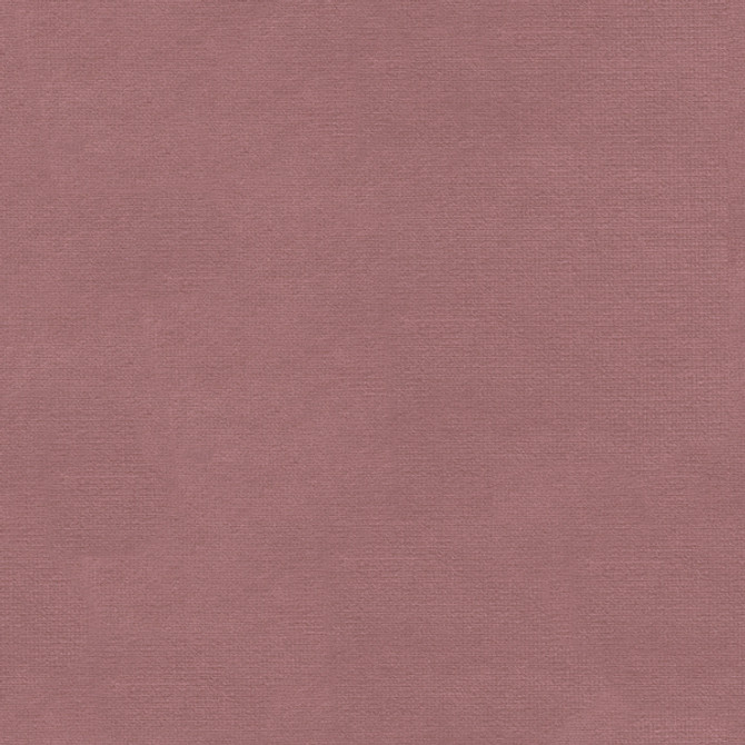 VERSAILLES.E22923 by Kravet Design Designer Fabric our website for purchase Cotton 100% Netherlands Heavy Horizontal: see sample and Vertical: see sample 54 inches - Swanky Fabrics -