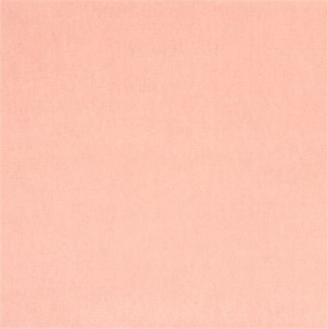 VERSAILLES.E22111 by Kravet Design Designer Fabric our website for purchase Cotton 100% Netherlands Heavy Horizontal: see sample and Vertical: see sample 54 inches - Swanky Fabrics -