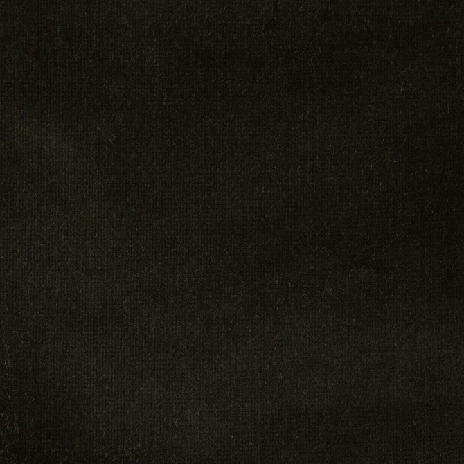 Versailles-E20700 by Kravet Design Designer Fabric - COTTON - 100% Netherlands HEAVY Horizontal: 0 and Vertical: 0 54 - Swanky Fabrics -