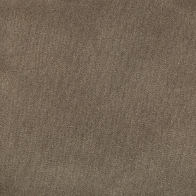 Versailles-E205140 by Kravet Design Designer Fabric - COTTON - 100% Netherlands HEAVY Horizontal: 0 and Vertical: 0 54 - Swanky Fabrics -