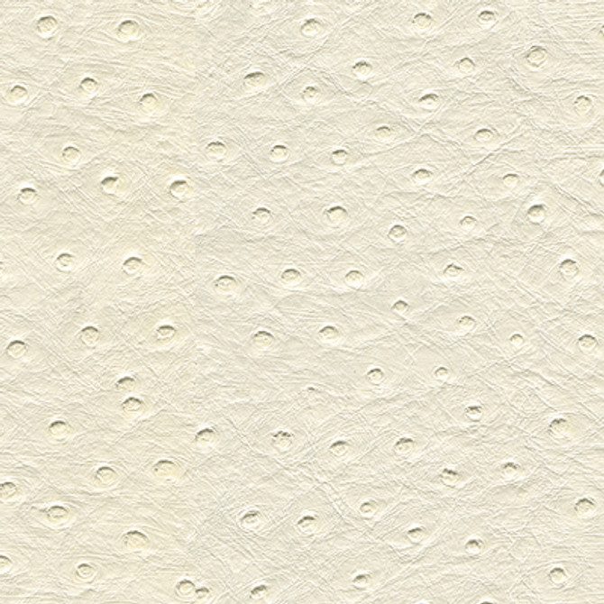 Kravet Design Senna-101 by Kravet Design Designer Fabric