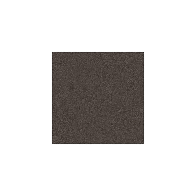 Glendale-21 by Kravet Design Designer Fabric ULTRALEATHER PLUS IV POLYURETHANE - 100% Japan HEAVY Horizontal: 4.72 and Vertical: 7.87 54 - Swanky Fabrics -