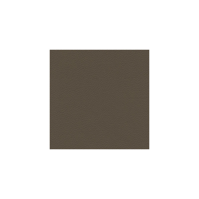 Genslar-611 by Kravet Design Designer Fabric ULTRALEATHER PLUS IV POLYURETHANE - 100% Japan HEAVY Horizontal: 0 and Vertical: 0 54 - Swanky Fabrics -