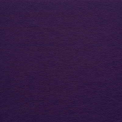 Kravet Design Gato-10 by Kravet Design Fabric Kravet Design Fabric Kravet Design Gato-10Fabric POLYURETHANE - 100% Japan </p><p>Repeat: H: 0, V: 0 54 - Fabric Carolina -