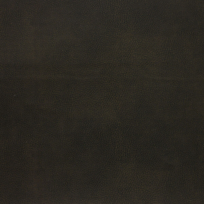 Caswell-66 by Kravet Design Designer Fabric POLYESTER - 55%;POLYURETHANE - 45% Korea, Republic of HEAVY Horizontal: 0 and Vertical: 0 54 - Swanky Fabrics -